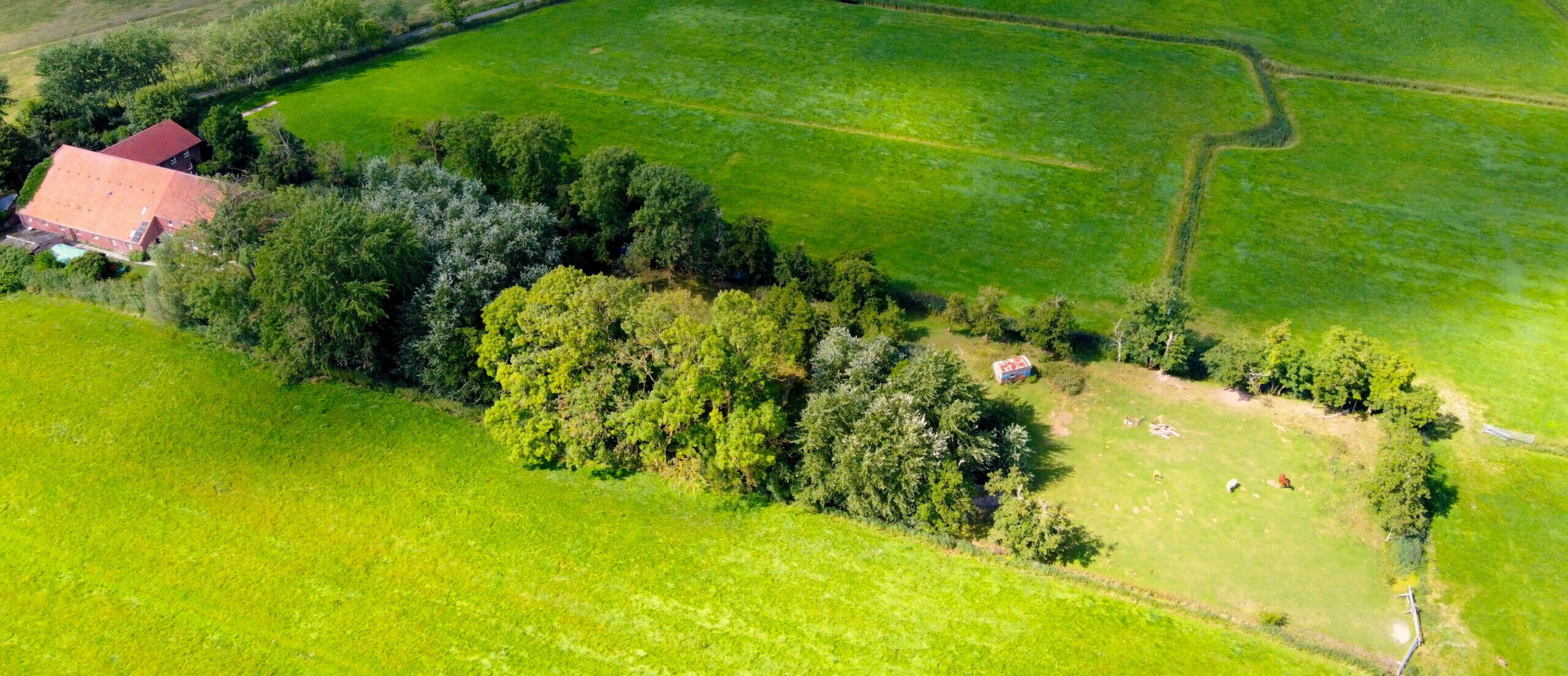 Die Heimat unseres Stammes: Der Hof Bree
